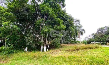 Terreno à venda, 700 m² por r$ 1.100.000,00 - córrego grande - florianópolis/sc