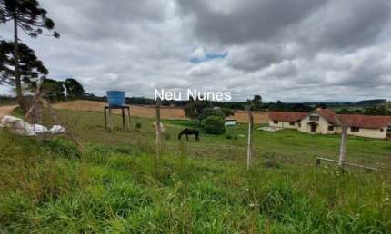 Chácara / sítio com 3 quartos à venda na Rua Felipe Rendoke, Contenda, São José dos Pinhais