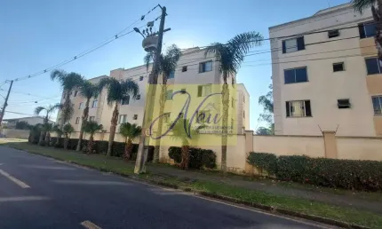 Apartamento com 2 quartos à venda na Rua Desembargador Henrique Nogueira Dorfmund, Cidade Jardim, São José dos Pinhais