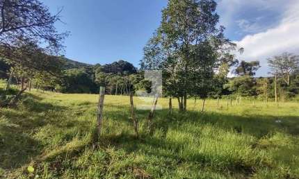 Sítio à Venda - Três Pontes, Monte Alegre do Sul - 72600m2