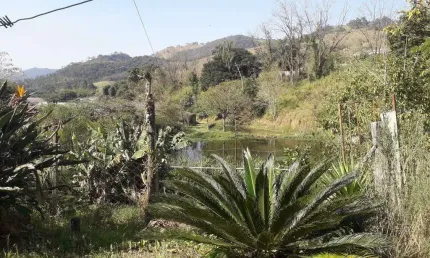 Sítio à Venda - Bairro Boa Vereda, Amparo - 367m2  - 3 Quartos