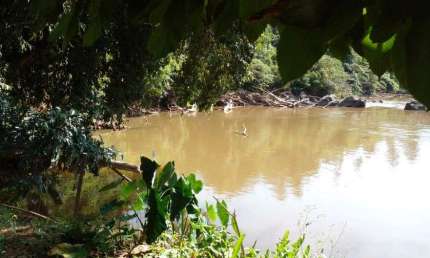 Chácara à Venda - Loteamento Residencial Entre Verdes (Sousas), Campinas - 5.227,8m2  - 3 Quartos