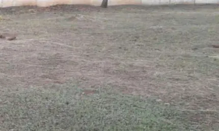 Terreno à Venda - 522m2 - Condomínio Parque Xangrilá, Campinas, SP