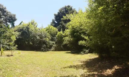 Casa em Condomínio à Venda - Terras de Itaici, Indaiatuba - 2.000m2 - Condomínio Terras de Itaici  - 3 Quartos