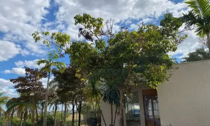 Casa em condomínio fechado com 2 quartos à venda na Rua Benedito Nardez, 732, Chácara Bela Vista, Campinas