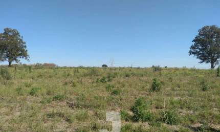 Terreno à Venda - Campo Novo, Bragança Paulista - 20.000m2