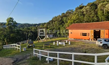 Chácara / sítio com 4 quartos à venda na Sc-350, Rio Engano, Alfredo Wagner