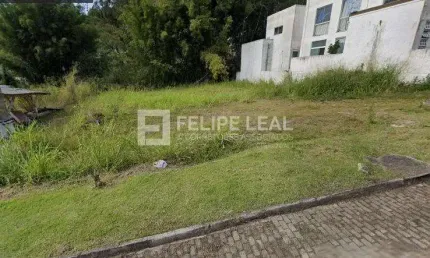 Ótimo e amplo Terreno em Canasvieiras  -  Florianópolis