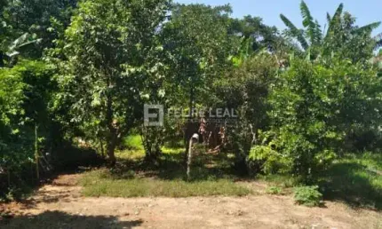Casa com 7 quartos à venda na Rua Alexandre Plucinski, 124, Forquilhas, São José