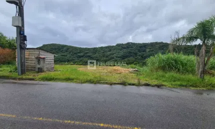 Terreno à venda na Rua Francelina Domingos de Jesus, 520, Roçado, São José