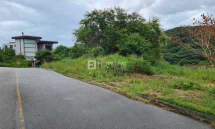 Terreno à venda na Rua Francelina Domingos de Jesus, 520, Roçado, São José