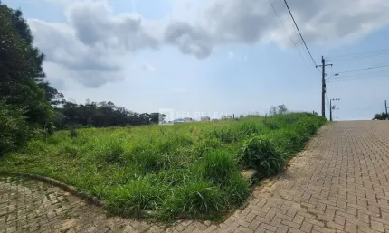 Terreno à venda na Rua José Laurindo Machado, Forquilhas, São José