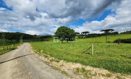 Chácara / sítio à venda na Estrada Geral Vargeado, Vargedo, Rancho Queimado