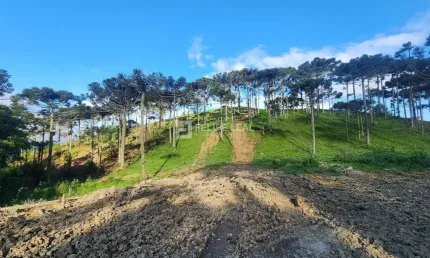 Chácara / sítio à venda na Estrada Geral Do Pinheiral, Zona Rural, Rancho Queimado