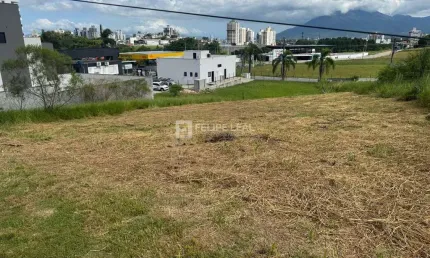 Terreno à venda na Rua dos Flamingos, Pedra Branca, Palhoça