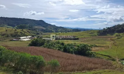 Chácara / sítio à venda na Estrada Geral Da Barra Clara, Barra Clara, Angelina