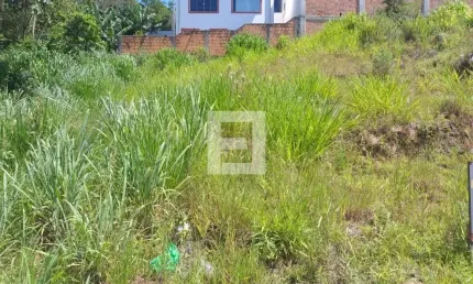 Chácara / sítio à venda na Rua Elvira Ruschel Fett, 1001, Potecas, São José