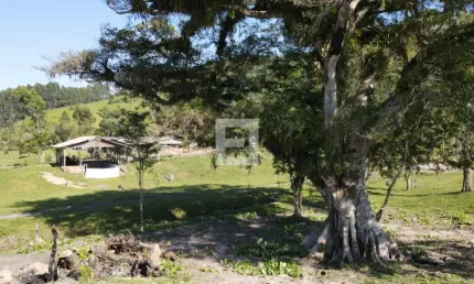 Fazenda à venda na Estrada Geral De Penha, Zona Rural, Paulo Lopes