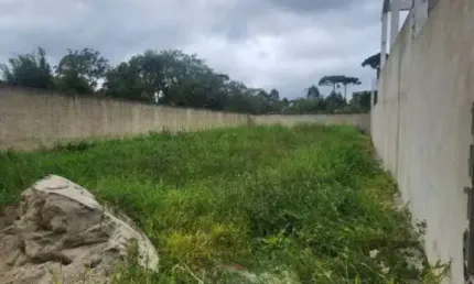 Terreno à venda na Rua Joaquim Alves Fontes, 2010, Colônia Murici, São José dos Pinhais, 343 m2 por R$ 220.000