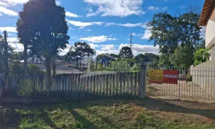 Terreno à venda na Rua Silvano Moreschi, 32, Aristocrata, São José dos Pinhais por R$ 550.000