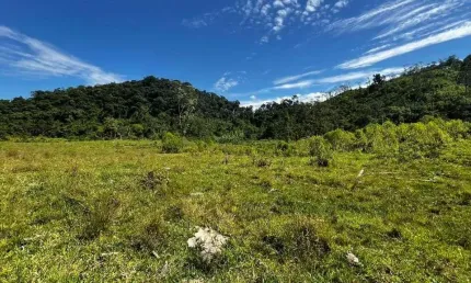 Chácara à venda, 145200 m² por R$ 900.000,00 - Paiol de Baixo - Campina Grande do Sul/PR