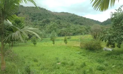 Chácara / sítio à venda na Zona Rural, Eldorado 