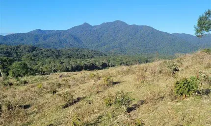 Fazendas para venda em Cananeia no bairro Itapitangui