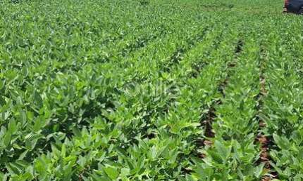 Fazenda à venda no Centro, Sidrolândia  por R$ 30.000.000