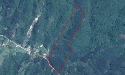 Terreno Rural à venda com área de 279.528m² com eucaliptos prontos em Ascurra/SC