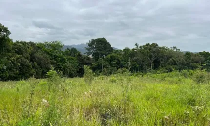 Terreno à venda na Rua José Laurindo Machado, sn, Forquilhas, São José por R$ 530.000