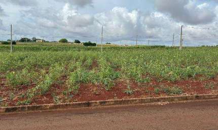 Oportunidade Única em ASSIS CHATEAUBRIAND - PR | Tipo: Terreno | Negociação: Venda Direta Online  | Situação: Imóvel