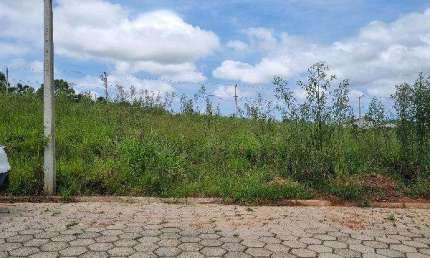 Oportunidade Única em MORRO DA FUMACA - SC | Tipo: Terreno | Negociação: Leilão  | Situação: Imóvel