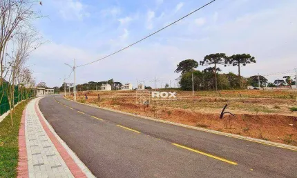 Terreno à venda, 245 m² por r$ 238.000,00 - costeira - são josé dos pinhais/pr