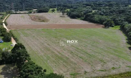 Terreno rural à venda, 22.000 m² por r$ 1.300.000 - salgadinho, campo largo/pr