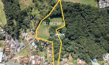 Terreno à venda, 22987 m² por R$ 3.000.000 - Rondinha, Campo Largo/PR