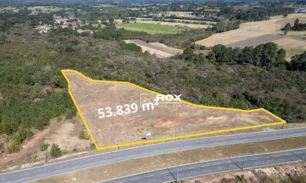 Terreno à venda, 53.839 m² por r$ 13.030.000 - campo largo da roseira, são josé dos pinhais/pr