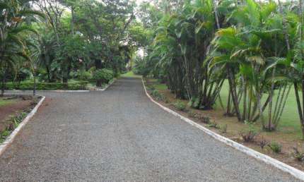 Área à venda, 7000 m² por R$ 3.500.000,00 - Chácara Bela Vista - Sumaré/SP
