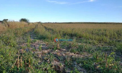 Área à venda, 20000 m² por r$ 1.200.000,00 - chácara cruzeiro do sul - sumaré/sp