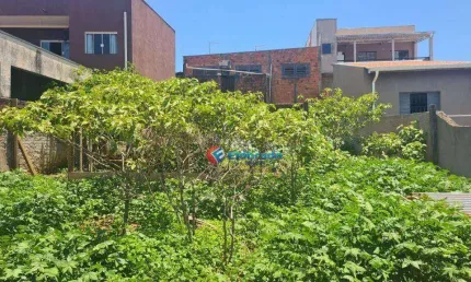 Terreno à venda, 268 m² por R$ 223.500,00 - Vila Real Continuaçao - Hortolândia/SP