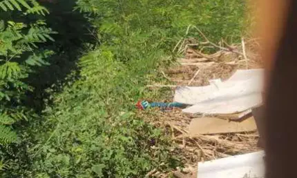 Terreno à venda na Rua Anedino Gonçalves dos Santos, Jardim Minezotta (Nova Veneza), Sumaré