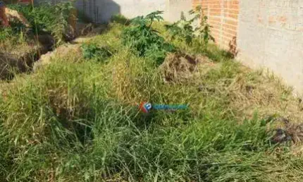 Terreno à venda, 125 m² por r$ 75.000,00 - são clemente - monte mor/sp