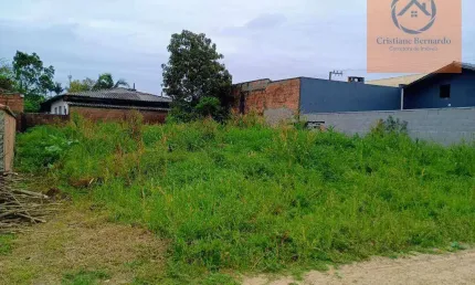 Terreno à venda, 329 m² por R$ 185.000,00 - Do Ubatuba - São Francisco do Sul/SC