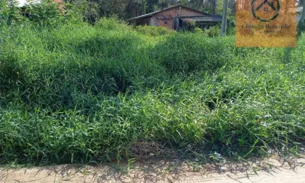 Terreno à venda, 360 m² - ubatuba - são francisco do sul/sc