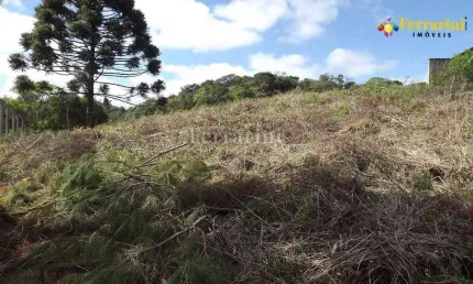 Terreno à venda na Rua Sidney Manfron,  Estrada do Cerne,, 477, Jardim Viviane, Campo Magro por R$ 250.000