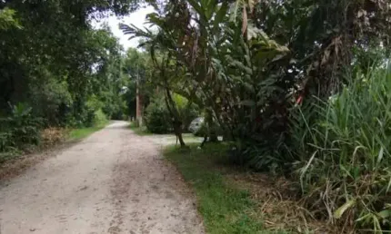 Terreno à venda na Alameda Bariri Quadra 43, Boracéia, São Sebastião