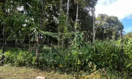 Terreno à venda na Alameda Paranapiacaba, Boracéia, São Sebastião