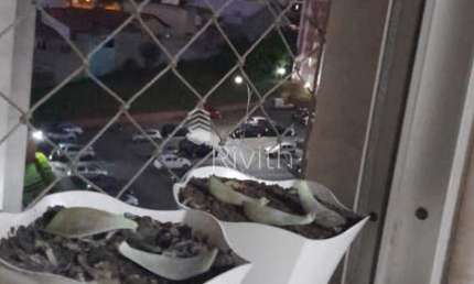 Apartamento com 3 quartos à venda no Jardim do Estádio, Santo André 