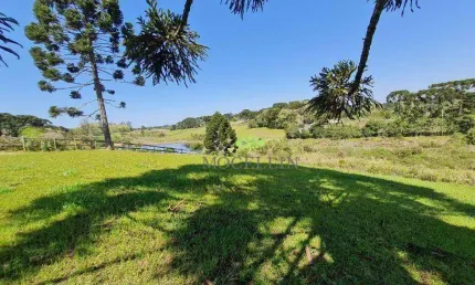 Terreno à venda, 21250 m² por R$ 1.100.000,00 - Borda do Campo - Piraquara/PR