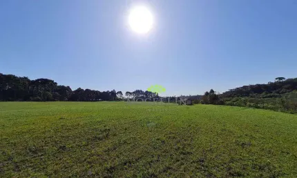 Terreno à venda, 84700 m² por R$ 1.700.000,00 - Colônia Santa Maria - Piraquara/PR