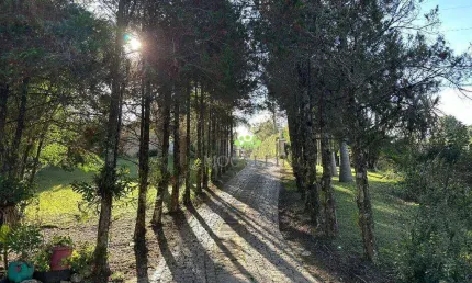 Chácara com 4 dormitórios à venda, 32000 m² por R$ 2.600.000,00 - Jardim Santa Nely - Campo Largo/PR